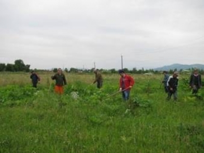 Погода в алексеевке белгородская область на 10 дней