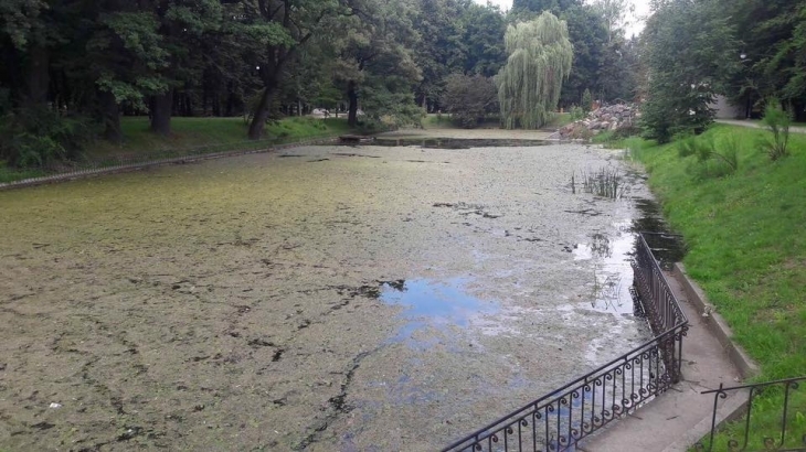 Озеро в парку Івано-Франківська