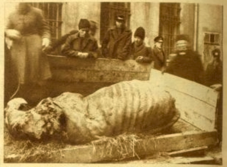 В якій частині Івано-Франківська найчастіше викопували кістки мамонтів