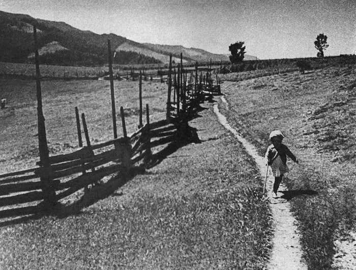 У мережі опублікували унікальні світлини Карпат 1930-х років (фото)