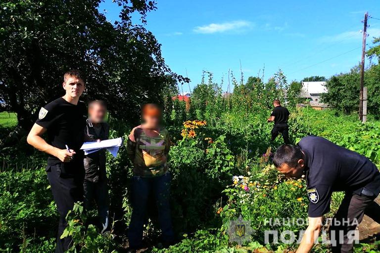 Поліцейські зірвали на подвір'ї у прикарпатця понад 300 рослин маку 2