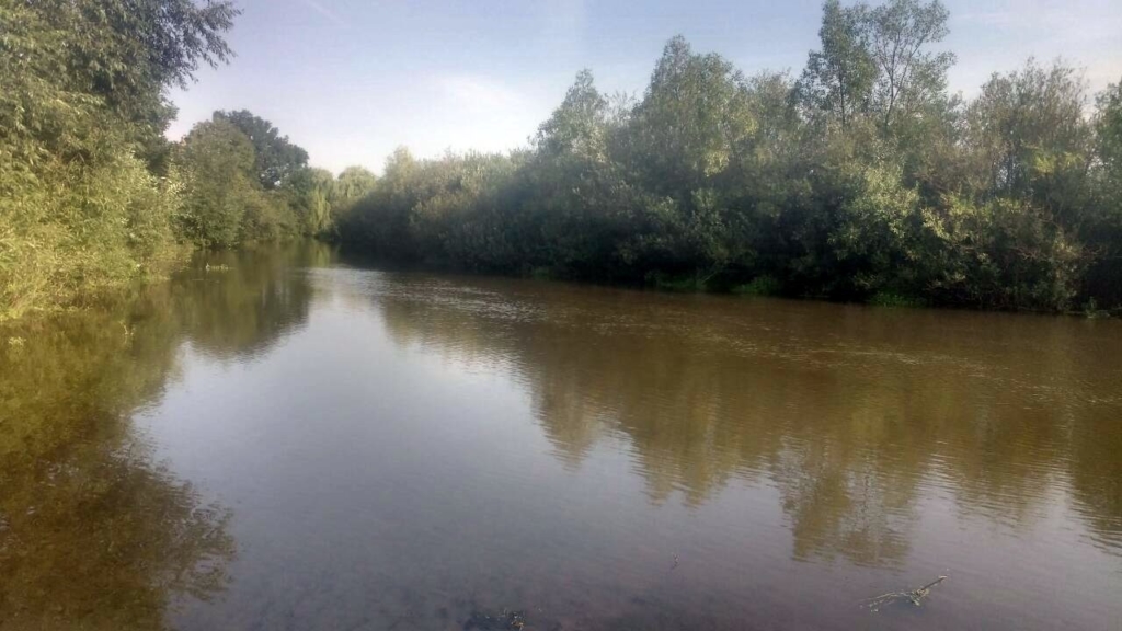 У річках Прикарпаття перевіряють воду на вміст небезпечних речовин 3