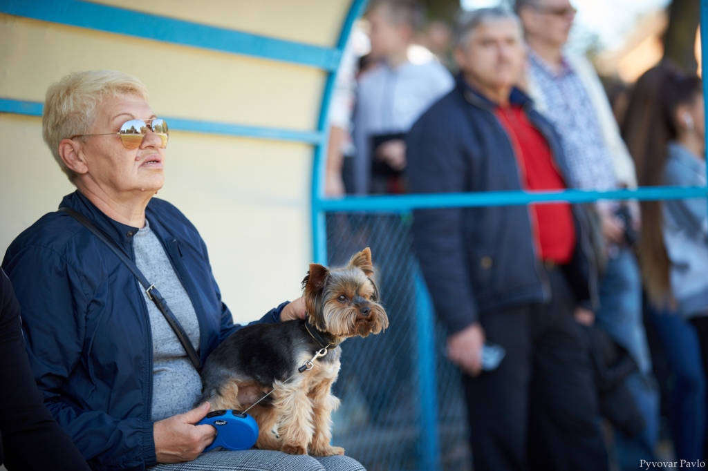 В Івано-Франківську 120 песиків взяли участь у виставці собак 15