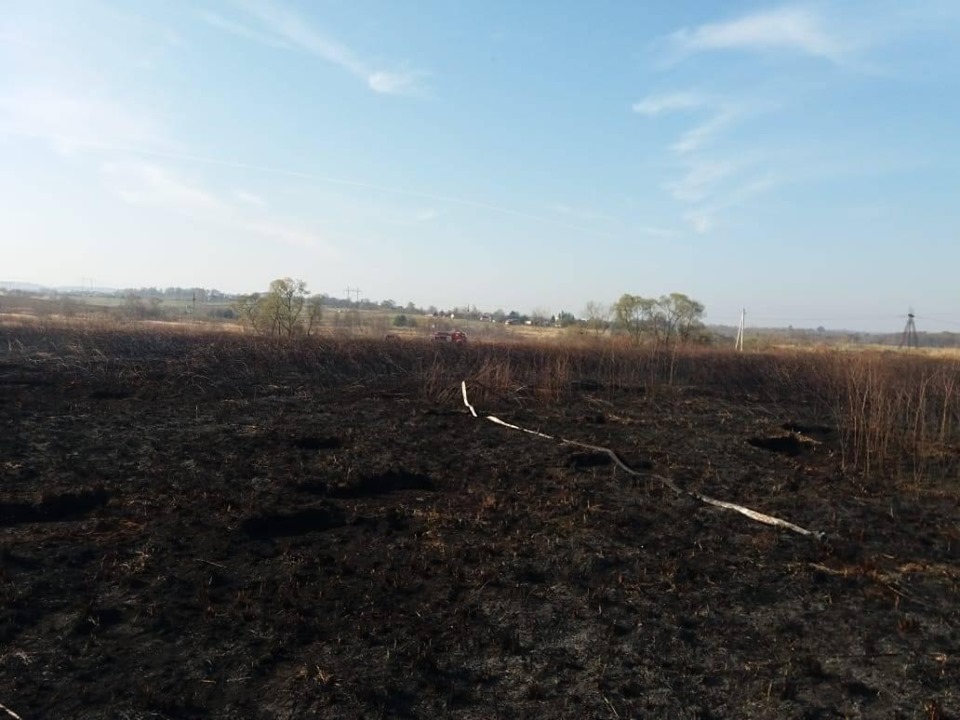 На Долинщині погасили пожежу на торфовищі 2