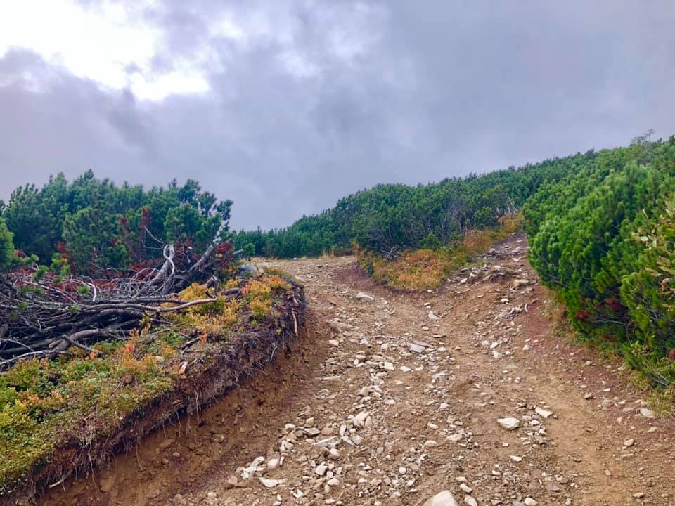 Неймовірні фото осінніх Карпат показали в мережі 1