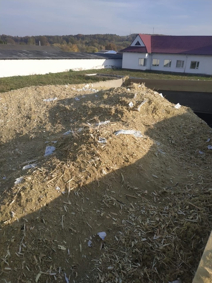 На Косівщині поліцейські знищили рекордну плантацію коноплі, яку виявили минулого місяця 2