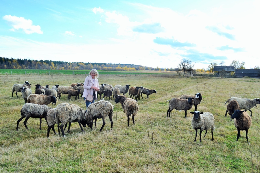На Коломийщині створили овечу ферму – планують запустити сироварню 2