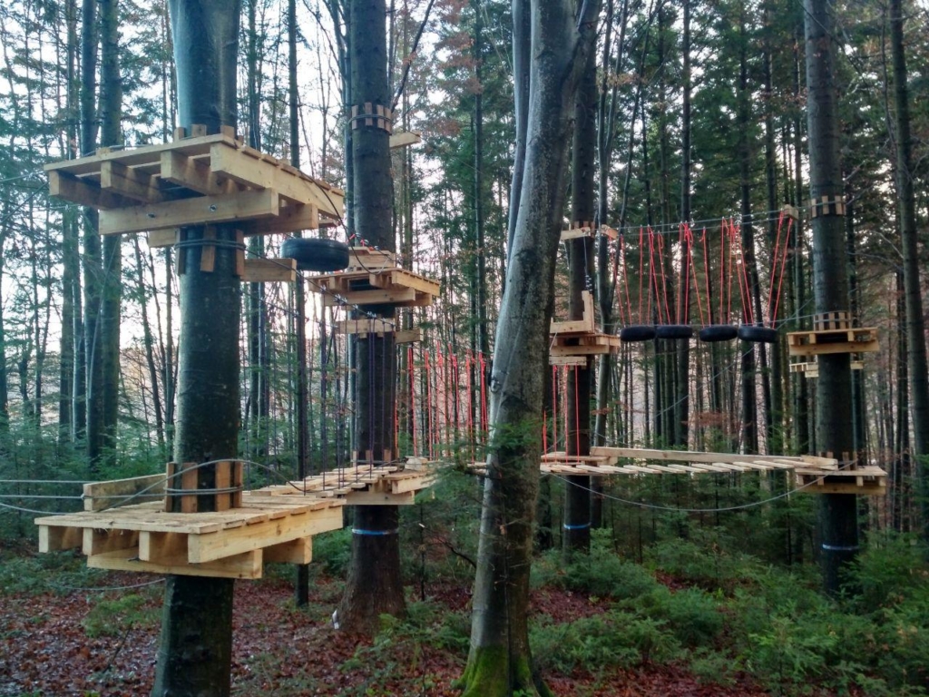 У лісгоспі на Франківщині встановили мотузковий парк для дітей 2