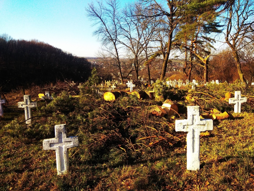У Галичі впорядковують військове кладовище часів Першої світової 3