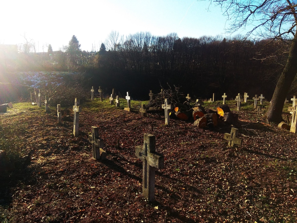У Галичі впорядковують військове кладовище часів Першої світової 4