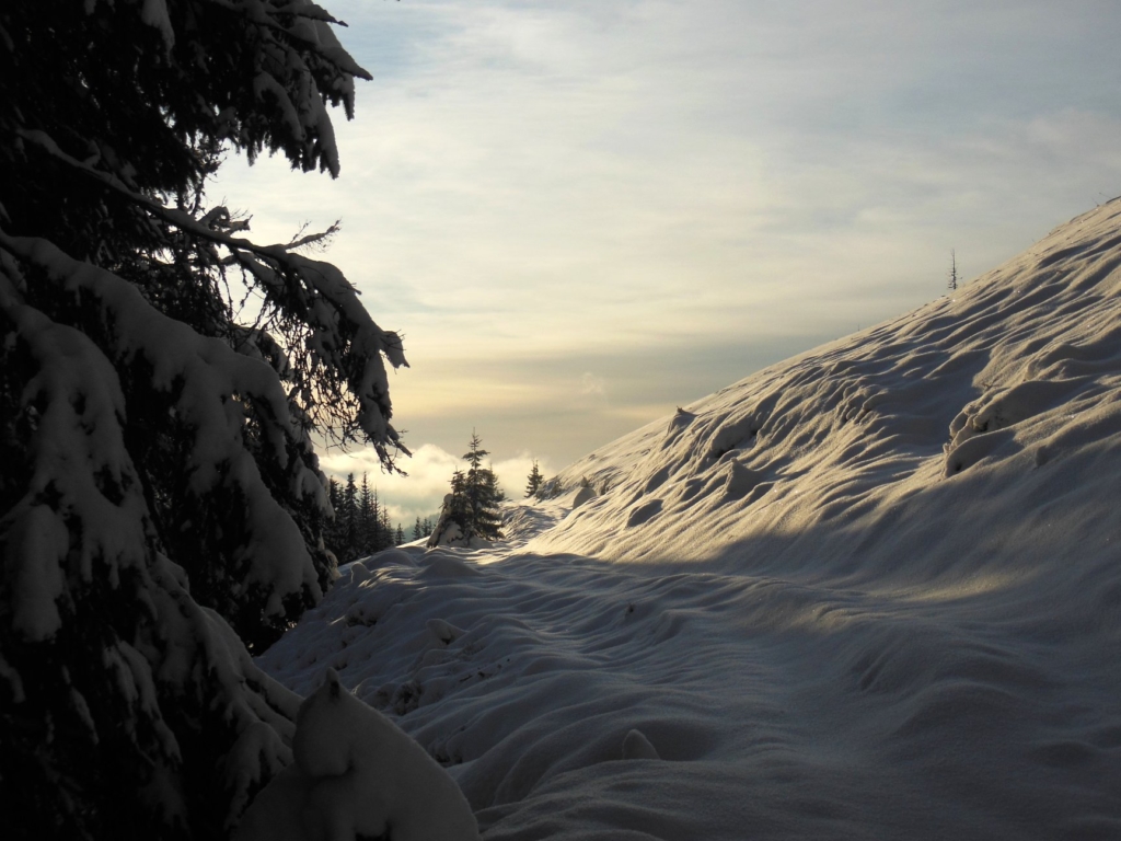 Франківець пішов у похід на милицях заради неймовірних фото зимових Карпат 4