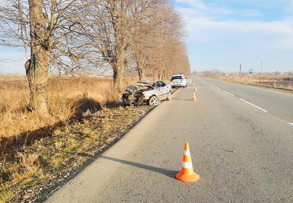 Під Франківськом "Ауді" врізалася в дерево – водій загинув 1