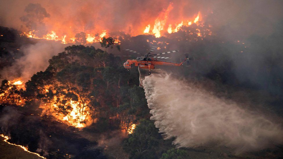 Смертоносні пожежі в Австралії змінюють погоду 5