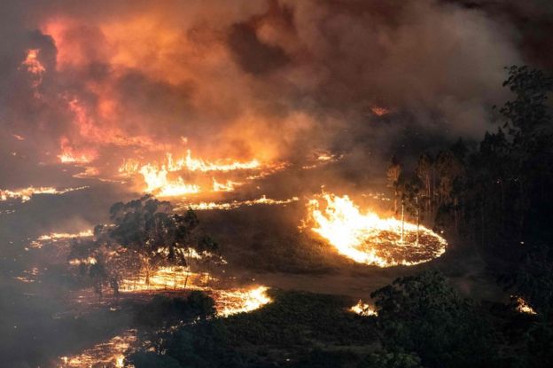 Смертоносні пожежі в Австралії змінюють погоду 3