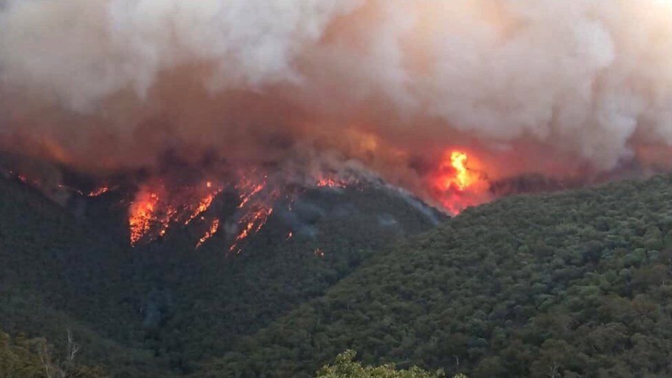 Смертоносні пожежі в Австралії змінюють погоду 1