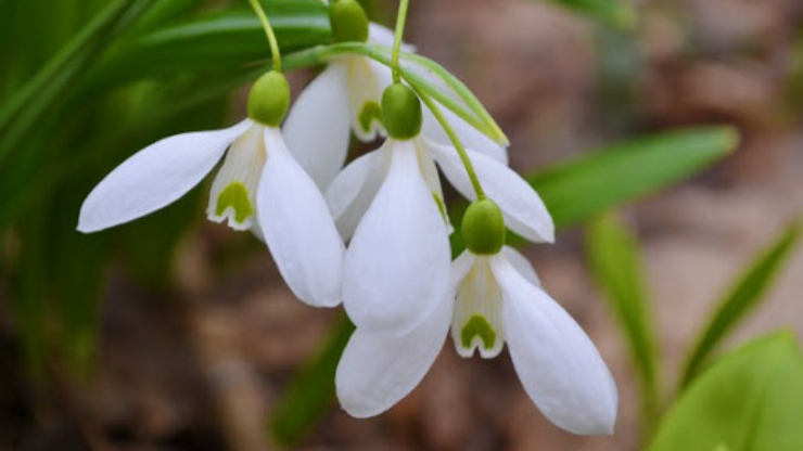 Благодійний ярмарок, екскурсії та кінопоказ: куди піти у Франківську 7-8 березня