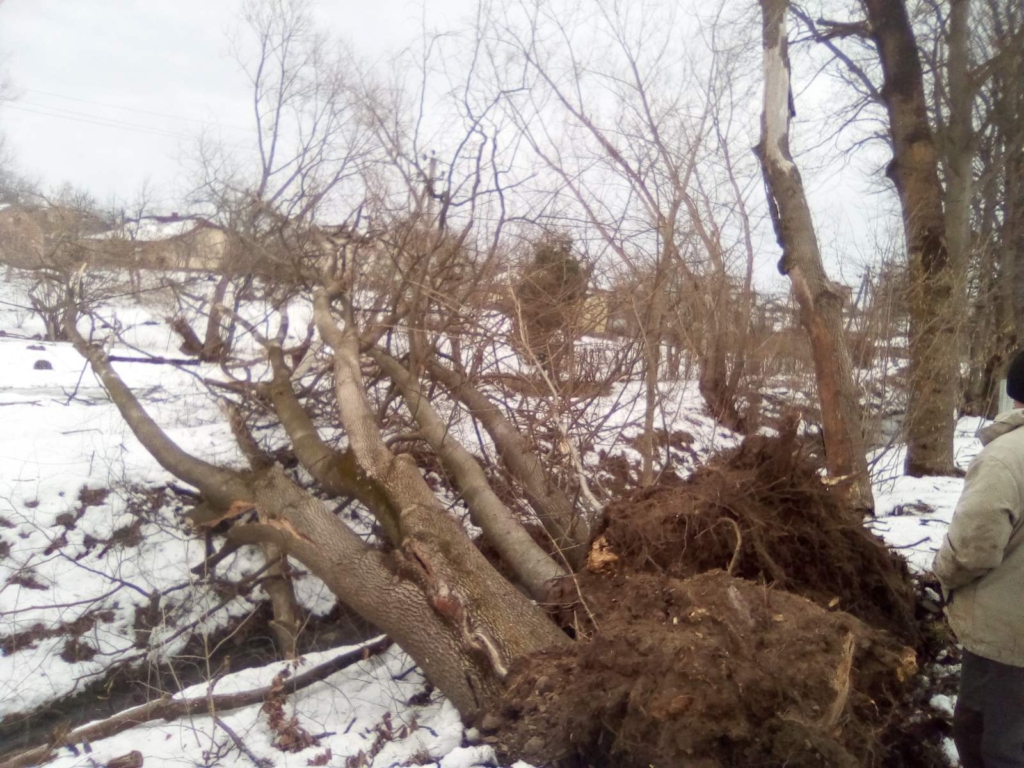 Негода на Прикарпатті: шквальний вітер зриває дахи і валить дерева у 5 районах 9