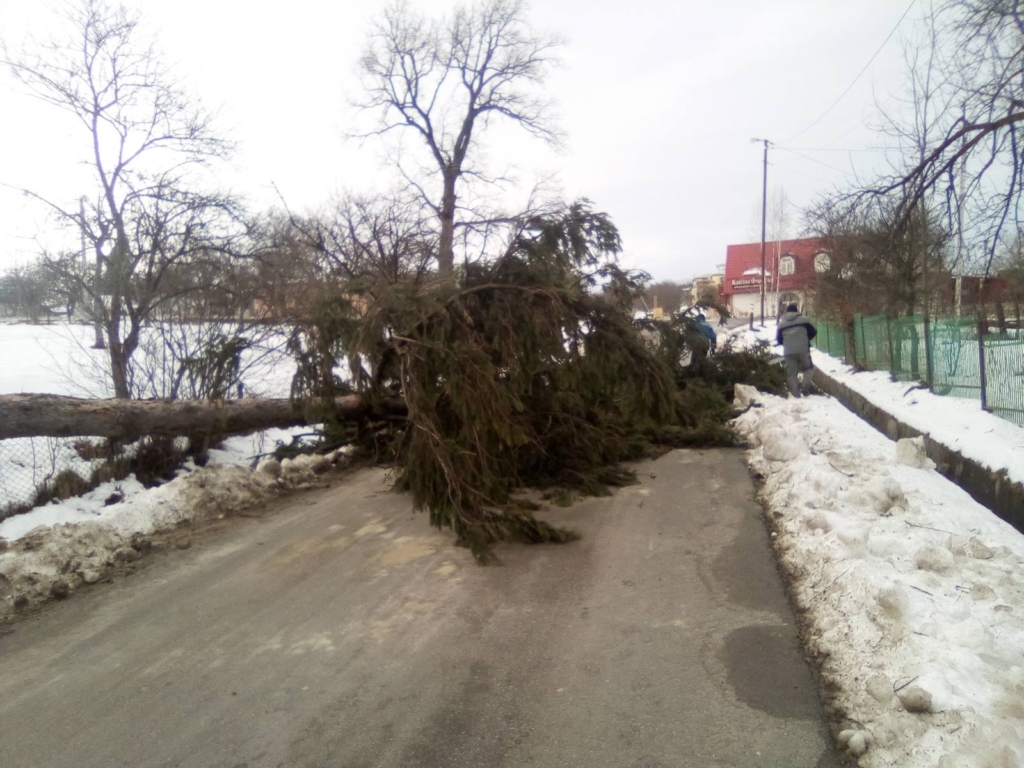 Негода на Прикарпатті: шквальний вітер зриває дахи і валить дерева у 5 районах 10