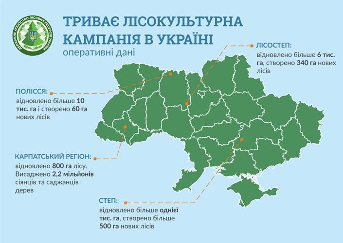 У Карпатах вже висаджено 2,2 млн дерев, – глава Держлісагентства 1