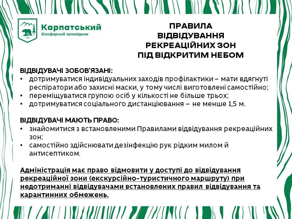 Долину нарцисів у Закарпатті відкрили для туристів 2
