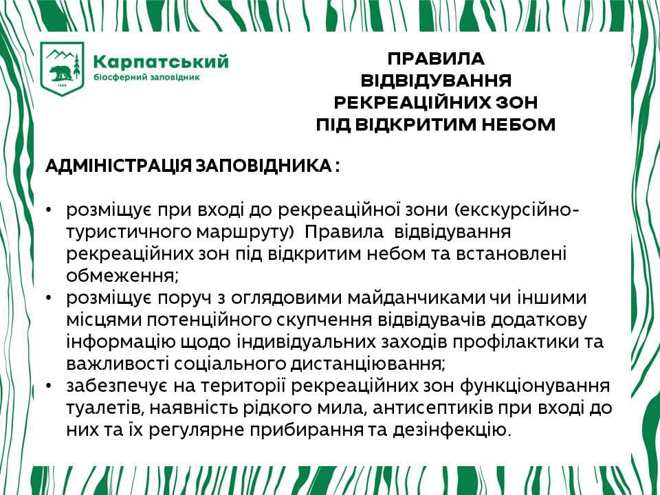 Долину нарцисів у Закарпатті відкрили для туристів 1