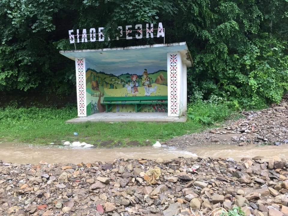 Повалені дерева та затоплені вулиці: на Верховинщині ліквідовують наслідки негоди 2