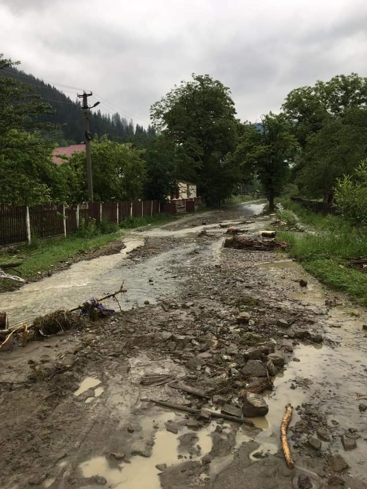 Повалені дерева та затоплені вулиці: на Верховинщині ліквідовують наслідки негоди 3