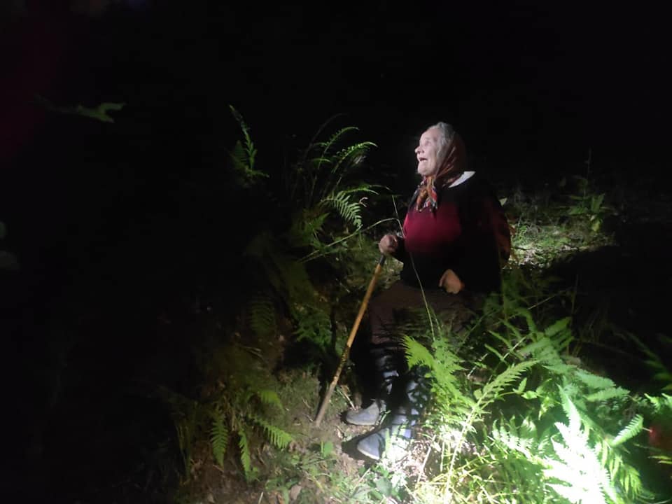Долинські рятувальники знайшли 75-річну жінку, що загубилася "в грибах" 1