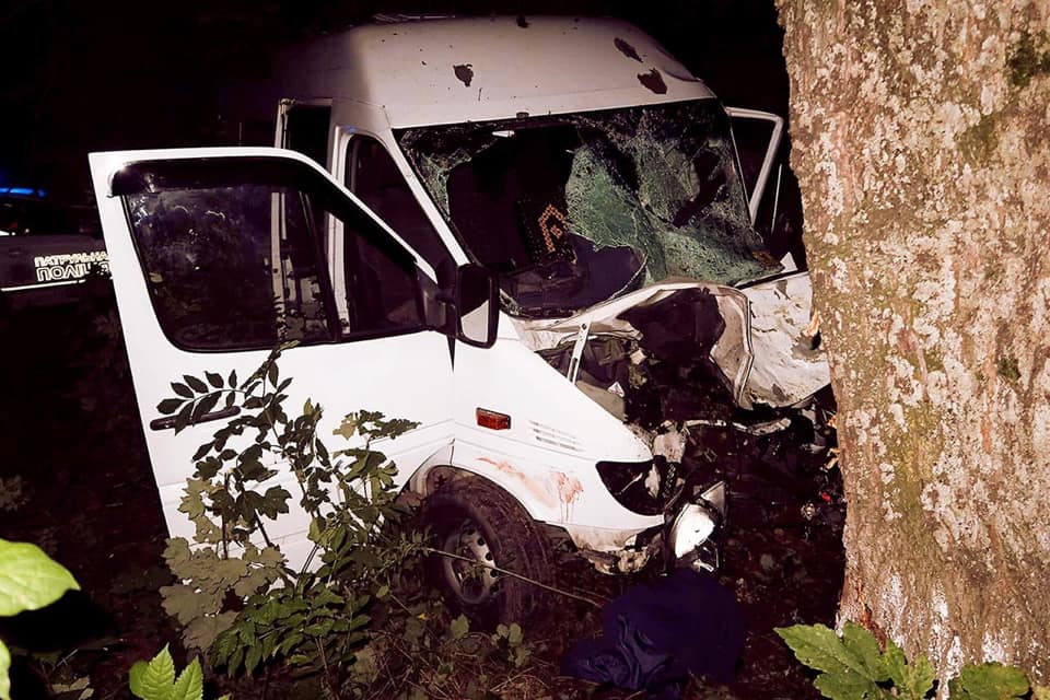 На Коломийщині водій "Mercedes" через невдалий обгін врізався у дерево 1