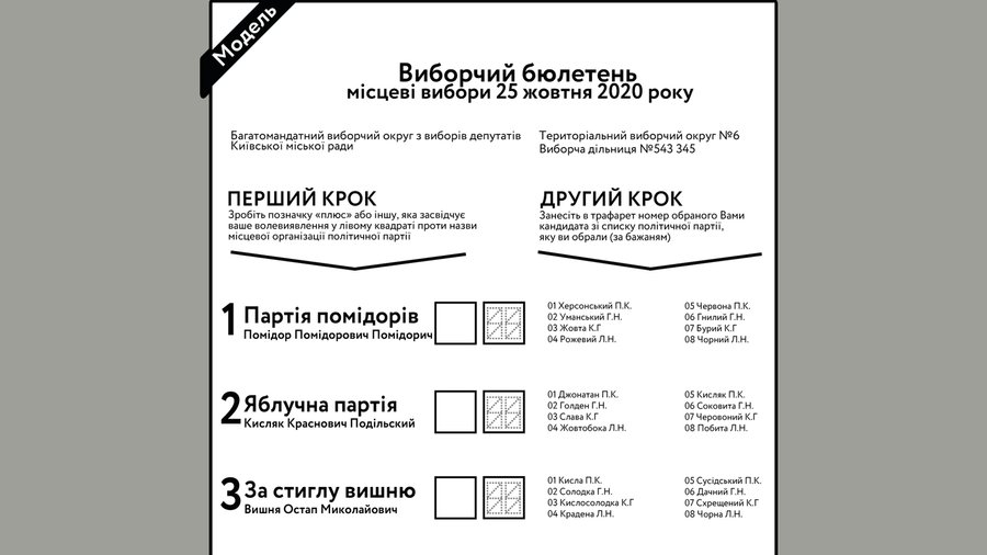 Зробили відеогід, як заповнювати бюлетені на місцевих виборах 1