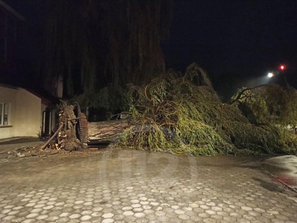 Повалені дерева, рекламні щити та зірвані дахи: Франківськом пронісся потужний буревій 3