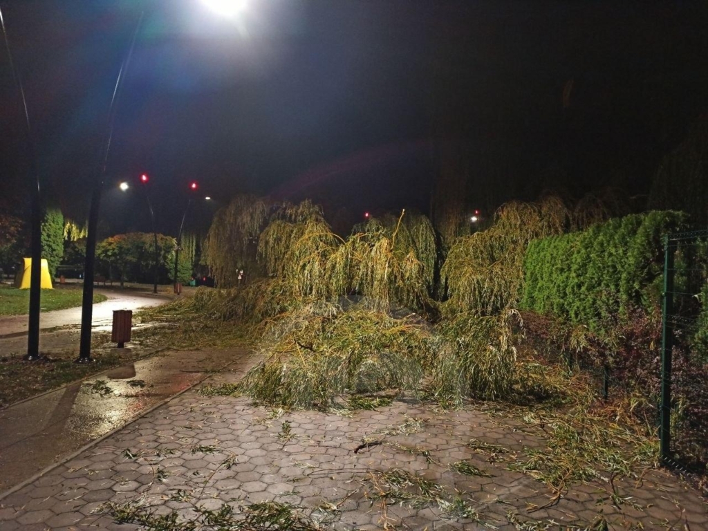 Повалені дерева, рекламні щити та зірвані дахи: Франківськом пронісся потужний буревій 2