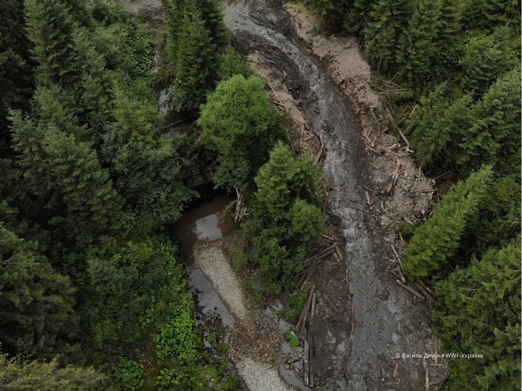 Звільнити річку: навіщо екологи розібрали кляузу на Лостунці 3