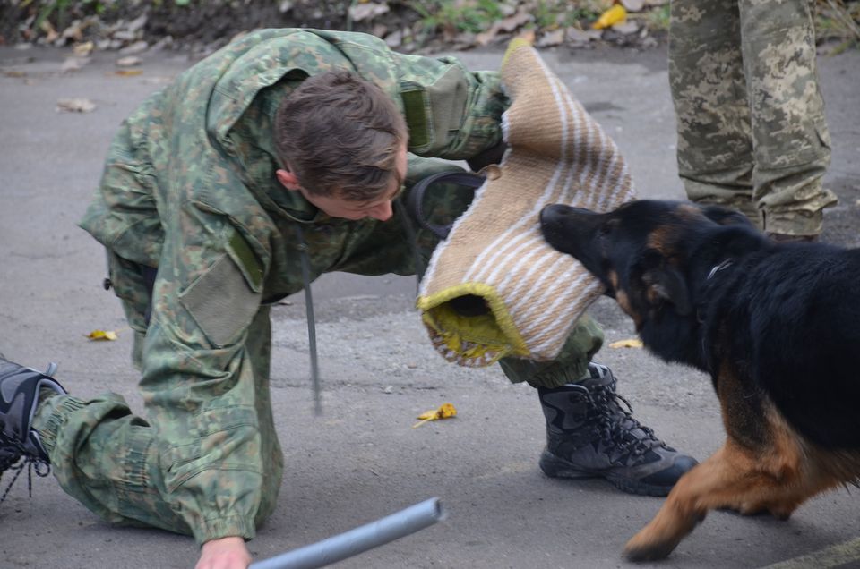 Щенячий патруль: у Франківську військові собаки склали заліки 1