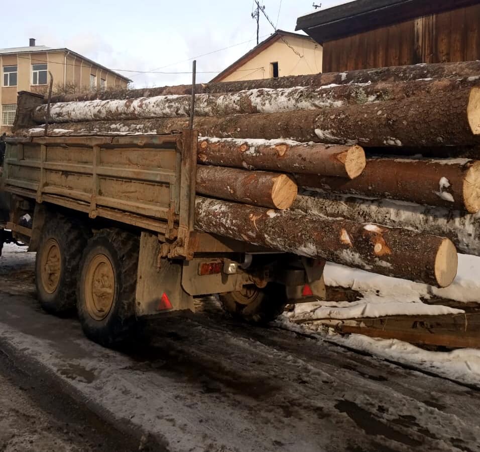 На Верховинщині зупинили вантажівки з незаконним лісом 2