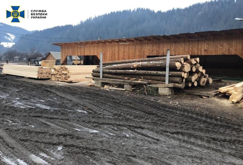 СБУ провела обшуки на нелегальних лісорубних підприємствах