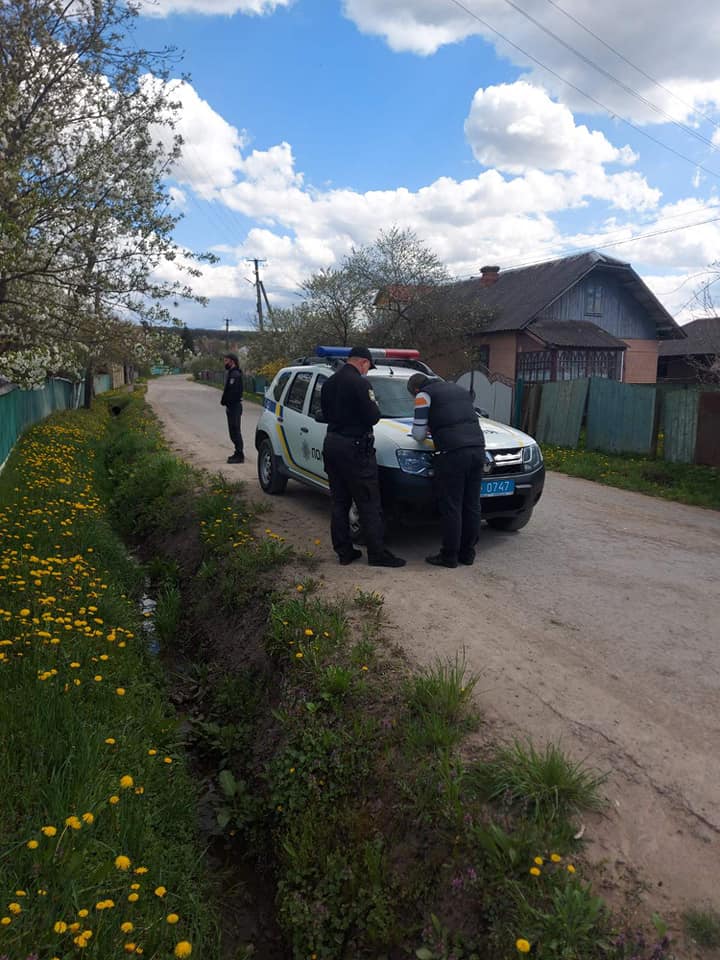 Поліція розслідує масову загибель бджіл у трьох селах Тисмениччини 2