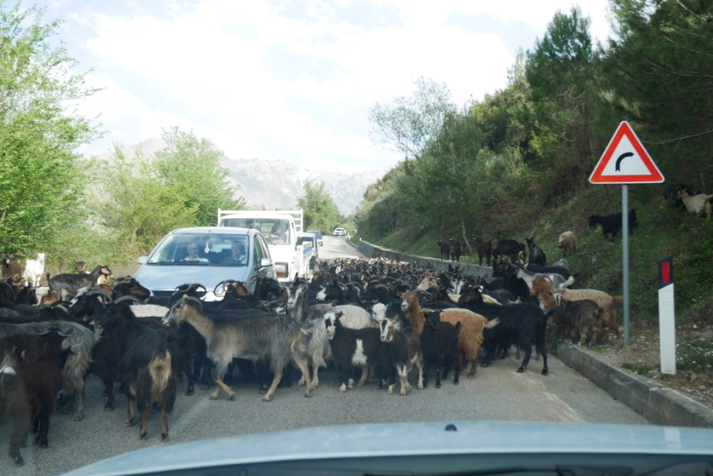 дороги в горах в Албанії