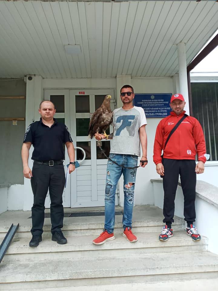 Орлана, якого незаконно тримали для фото в Яремчі, вилучили в реабілітаційний центр 2