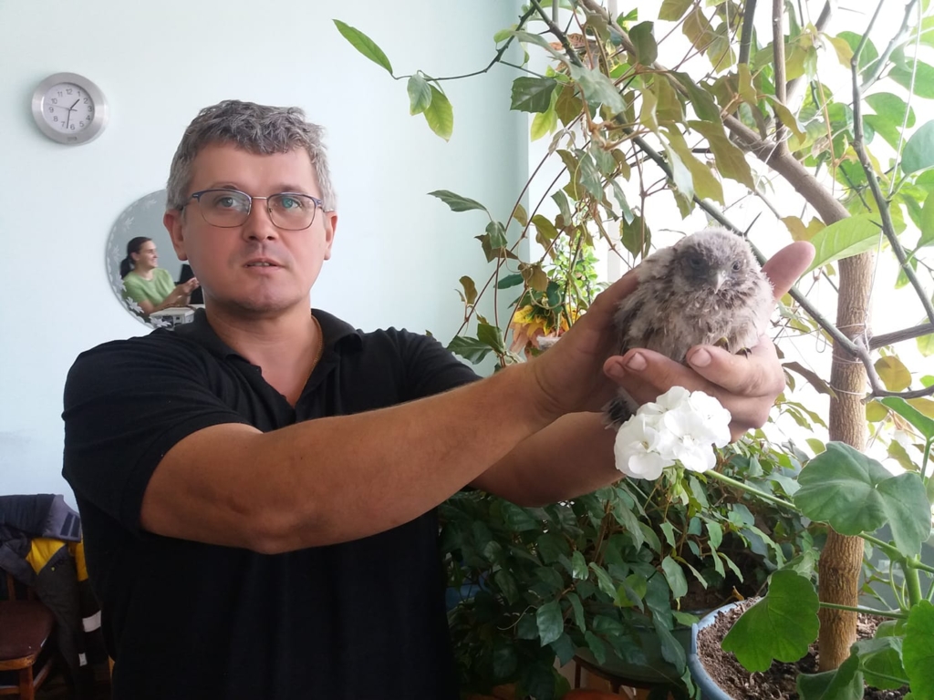 На Бурштинській ТЕС врятували боривітра - пташеня реабілітують в Галицькому парку 1