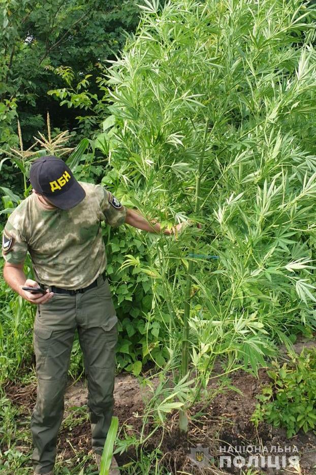 1 500 доз щомісяця: затримали банду, що збувала амфетамін на Прикарпатті 2