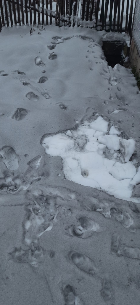 У Галичі та околицях знову почорнів сніг – люди звинувачують Бурштинську ТЕС 3