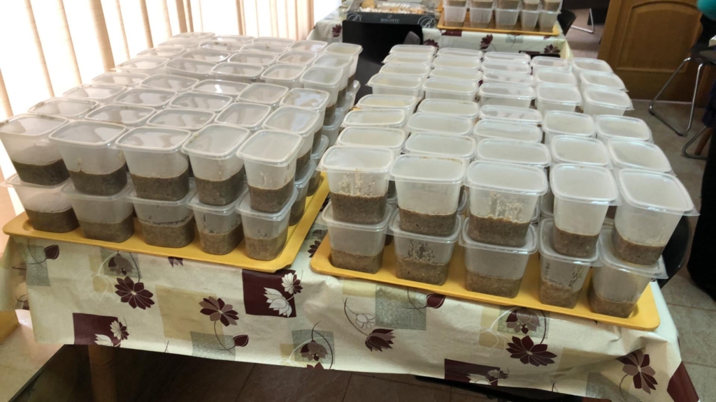 Франківський Карітас приготував Святу вечерю та Різдвяний обід для нужденних 4