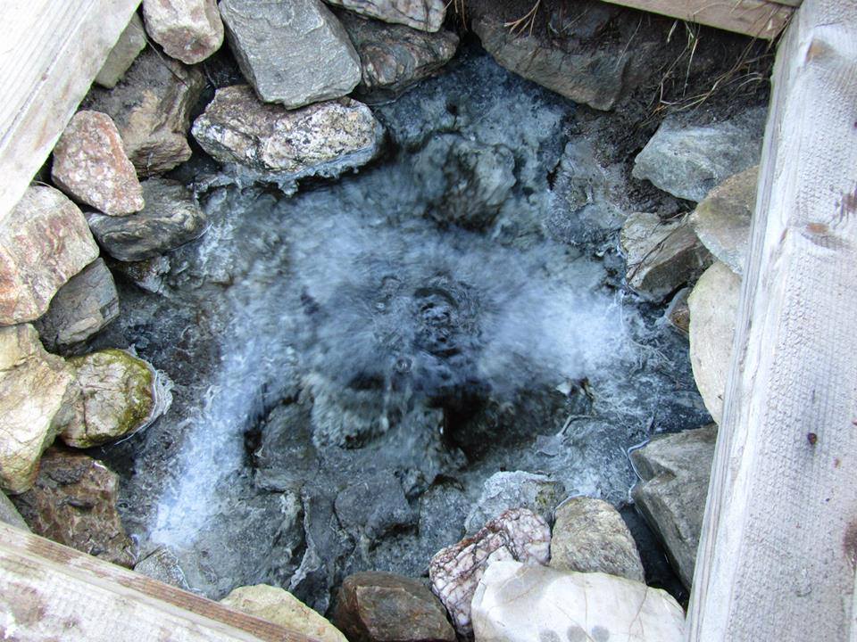 мінеральне джерело в Карпатах