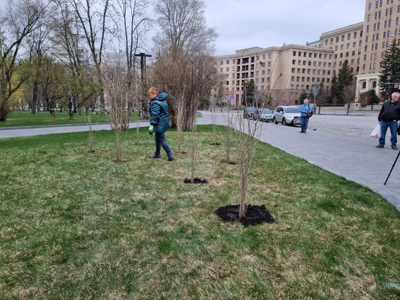 На центральной площади Харькова высадили саженцы из Западной Украины ...