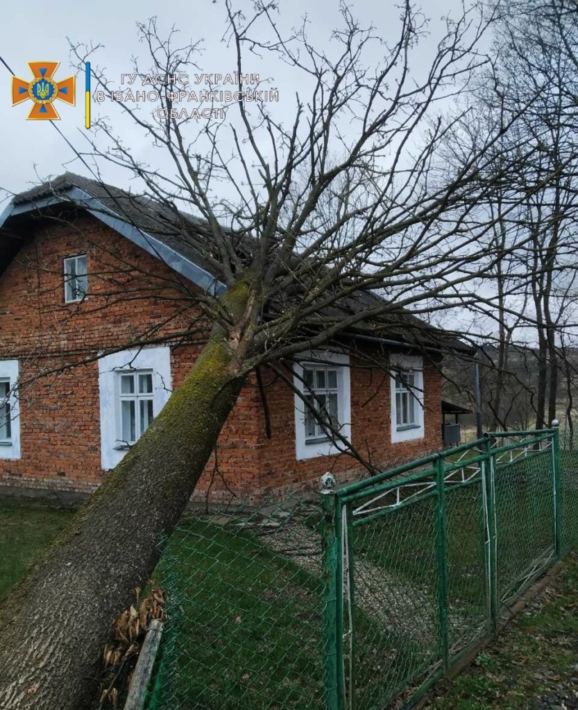 Через сильний вітер на будинок у Майдані впало дерево 1