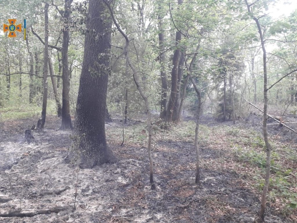 У Павлівці рятувальники загасили лісову пожежу 1