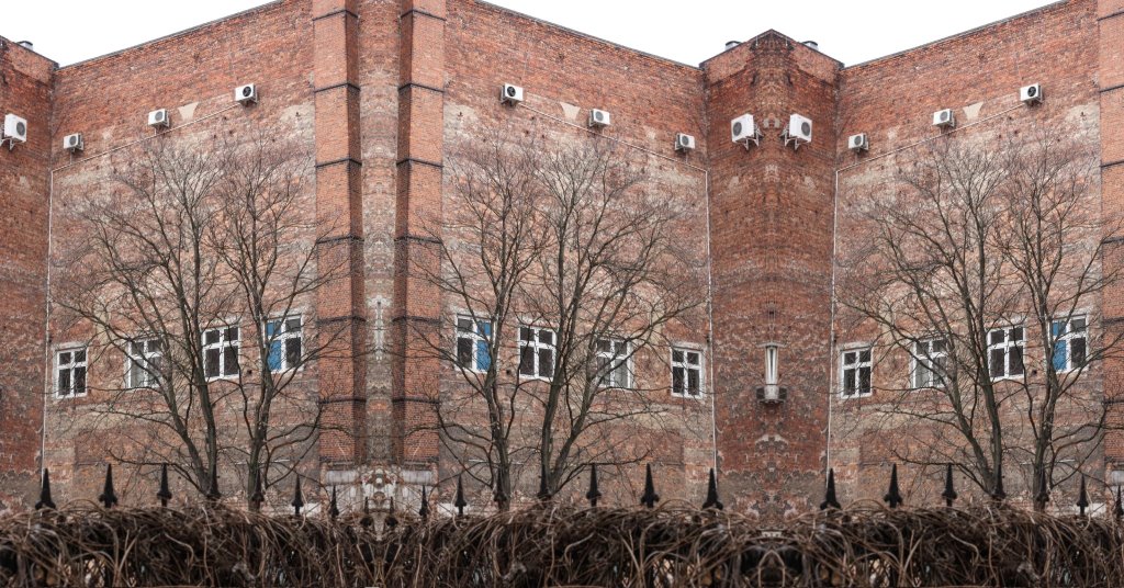 "ДЕРЕВООБРОБКА: що стоїть за деревом або Франківськ не з першого погляду - 3" - архітектура міста на фото Шпука
