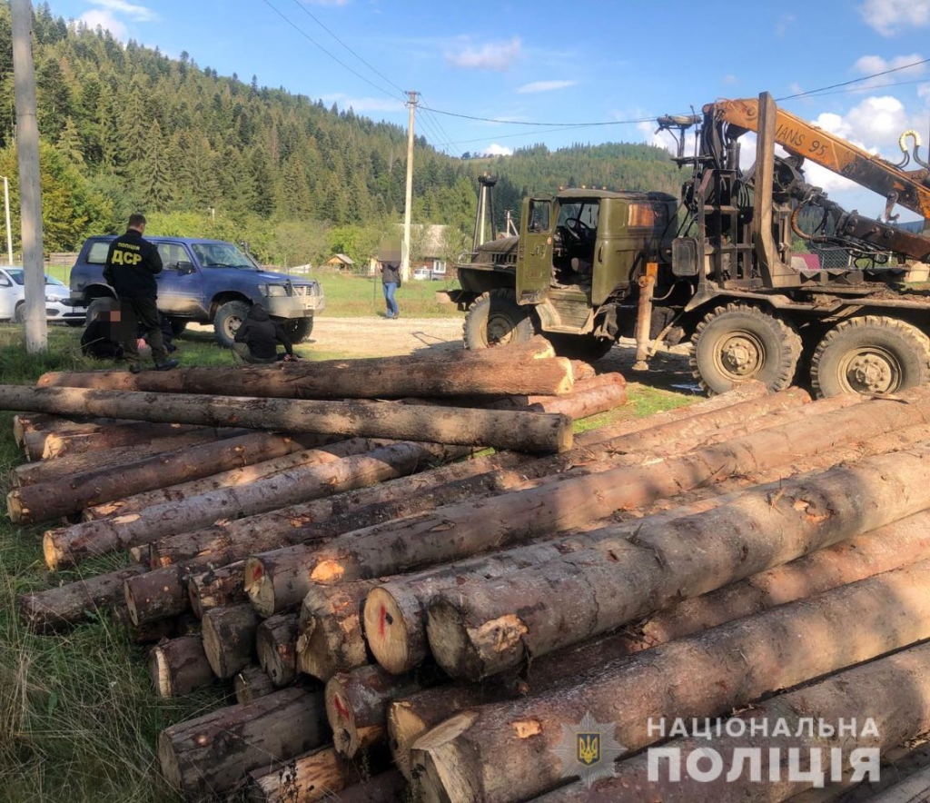 100 000 гривень за деревину "наліво": на Прикарпатті затримали лісничого 1
