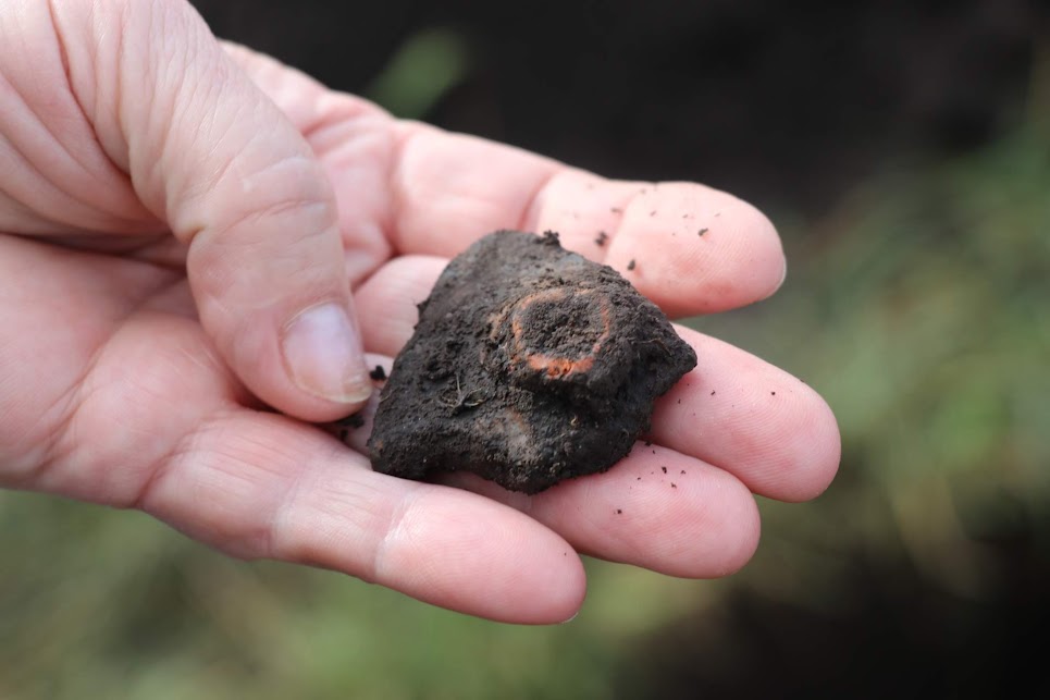 Під час розкопок у заповіднику Давній Галич знайшли кераміку та зерно 1